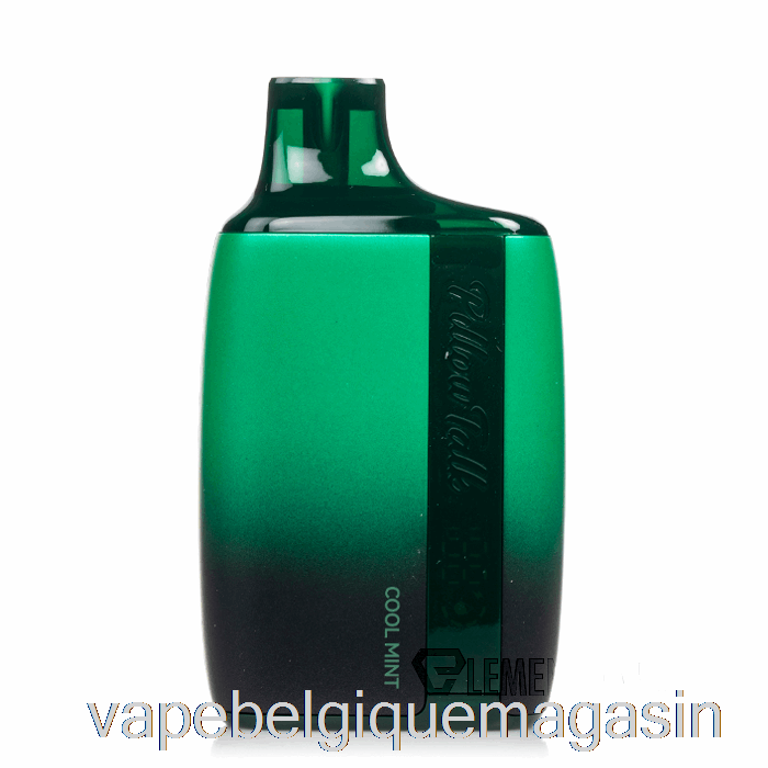 Vape Shop Bruxelles Oreiller Talk 8500 Jetable Menthe Fraîche